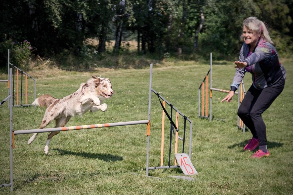 Janča&Rick