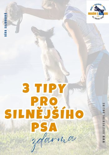 3 tipy pro silnějšího psa